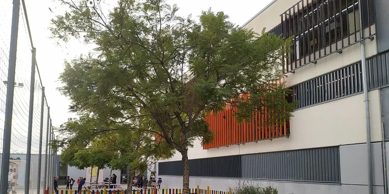 El ple de l'Ajuntament de Pineda aprova una moció del PSC pel foment i finançament de l'educació de 0 a 3 anys
