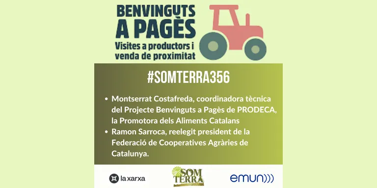 Som Terra 356