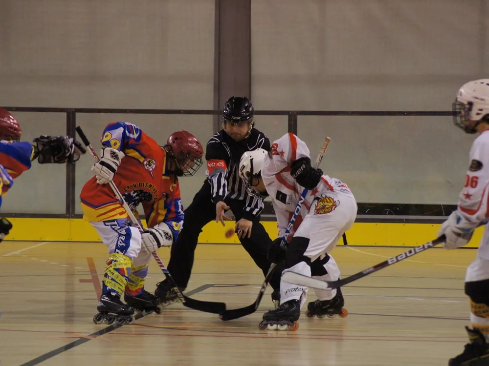 Un Cent Patins femení - Panteras d'arxiu