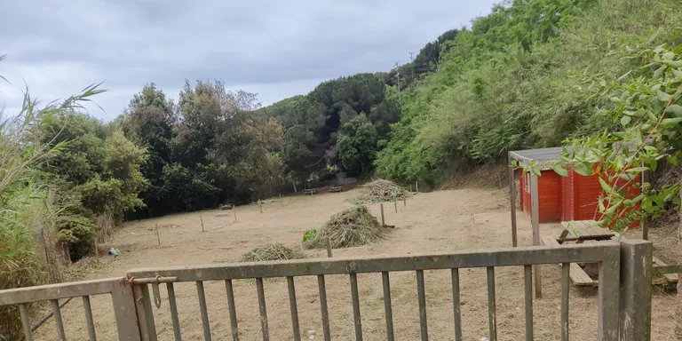 El sorteig per adjudicar les parcel·les dels horts urbans es farà el pròxim 12 de desembre