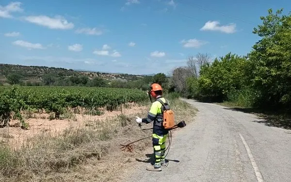 Foto: Diputació de Tarragona