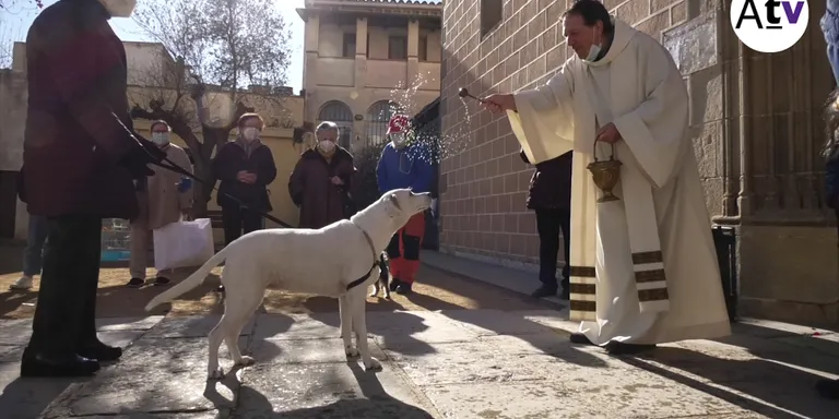 NOU REPORTATGE: Enguany hem tingut un Sant Antoni Abat sense tres tombs però amb la benedicció dels animals