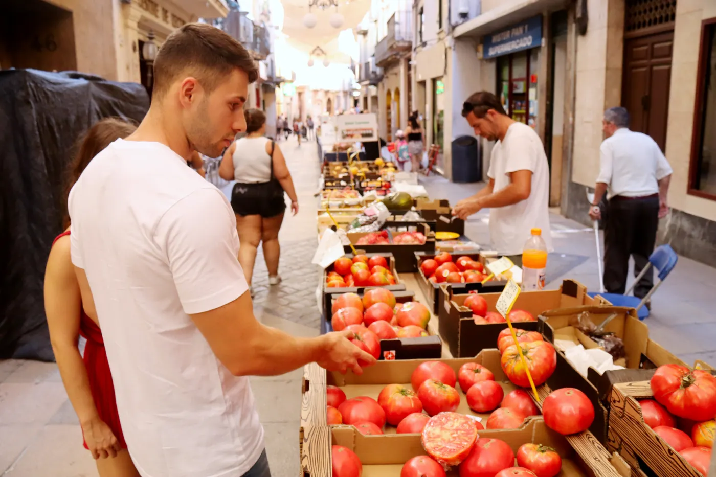 Un home mira uns tomàquets a la Firagost de Valls.