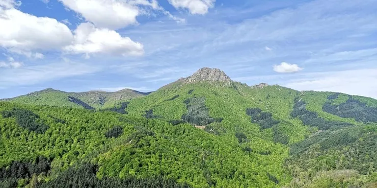 Arbúcies organitza la 1a Cursa de Muntanya Vall d’Arbúcies aquest diumenge 14 de maig