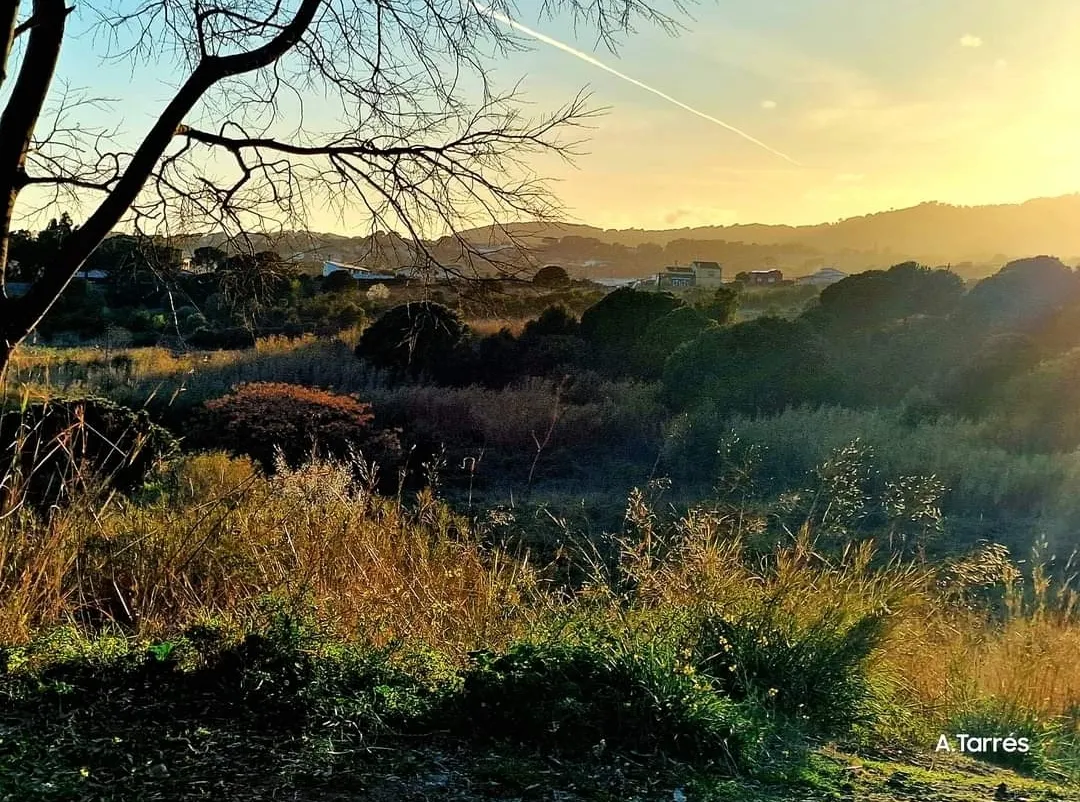 Primer dia de primavera amb vent de garbí