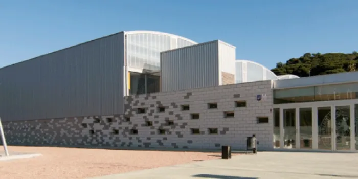 L’Arenys Bàsquet prepara un Campus de Nadal per a nens i nenes fins a la categoria Cadet