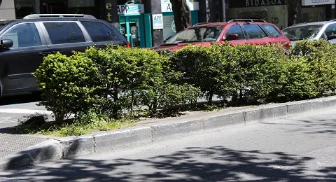NUEVA IMAGEN PARA EL SETO DE LA AVENIDA DE NAVARRA