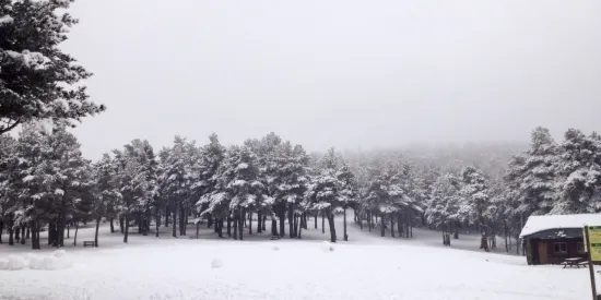 La nova nevada beneficia les estacions d'esquí nòrdic