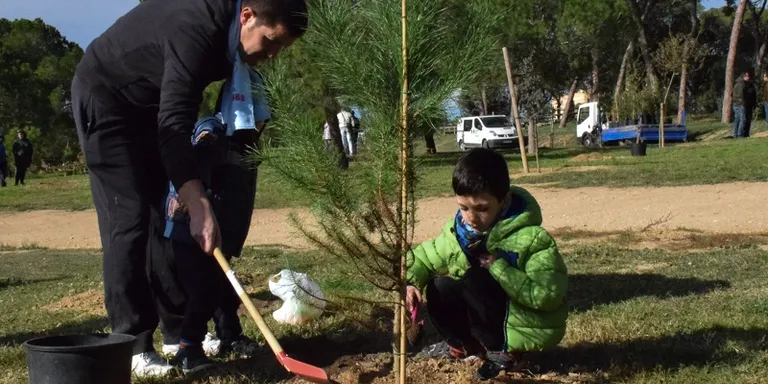 El Dia de l'arbre autòcton es farà enguany a Can Fatjó