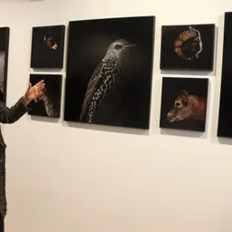 Estela de Castro, fotògrafa autora de The animals - episode art
