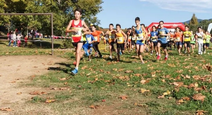 Moment del cros de l'any passat (foto: Ajuntament)