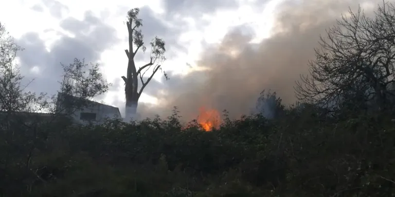 Ensurt per un incendi a la zona de Sant Jaume de Pineda, extingit ràpidament