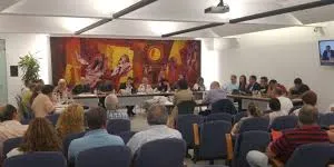 Avui hi ha ple a l'Ajuntament de Pineda