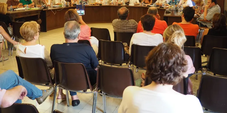 Aprovada l'estructura de funcionament de l'Ajuntament de la Seu