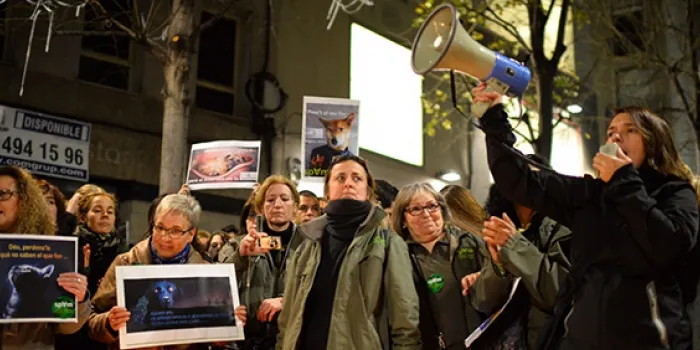 Més de 400 persones es manifesten davant l’Ajuntament de Mataró contra el tancament de la gossera municipal