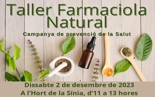Foto: Ajuntament d'Altafulla