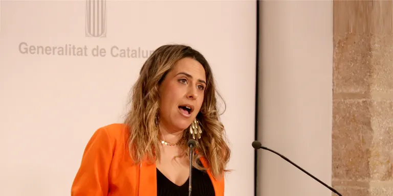 Plaja diu que el Govern "mourà fitxa" per l'Operació Catalunya "si es considera necessari, útil i pràctic"