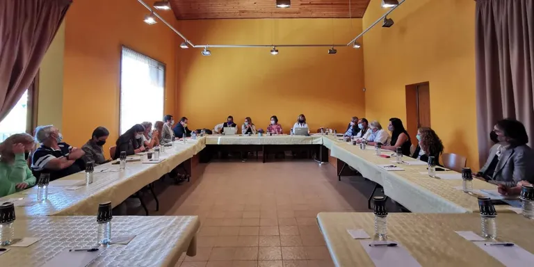 El Consell d'Alcaldes de l'Alt Urgell demana que els fons europeus prioritzin la digitalització