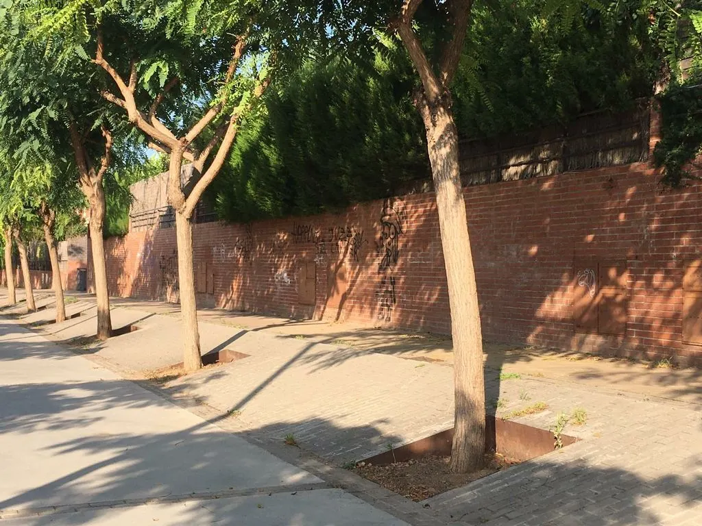 Entrem a la Fundació Viver de Bell-lloc, una entitat amb finalitat social, que s’ocuparà de l’arbrat municipal