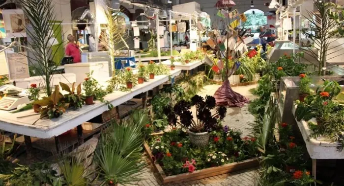 El Mercat Muncipal ésu n dels Espais Florits ( Foto: Ajuntament d'Arenys de Mar )