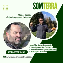#267 - Som Terra amb Pili Garcia del 29/10/2024 - episode art