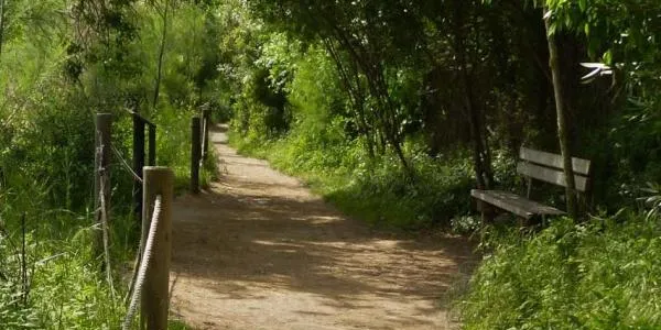 Un projecte estudiarà com prevenir incendis en les àrees forestals que hi ha entre els rius Francolí i Gaià