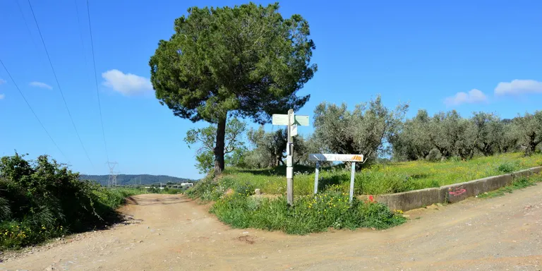 Comencen les tasques de manteniment de camins veïnals i pistes forestals al terme municipal