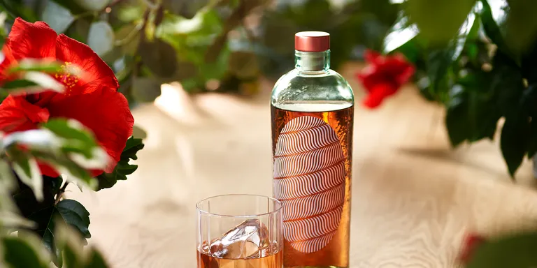 Vermut Aire, un nou vermut amb caràcter morellenc