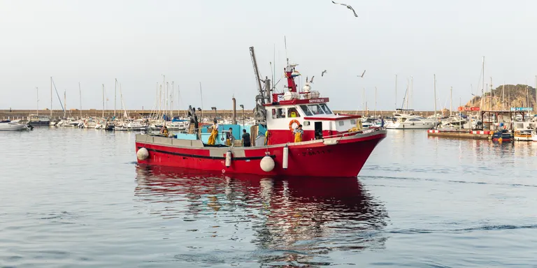Comença la veda biològica de la pesca d'encerclament de la Costa Brava que per primer cop durarà dos mesos