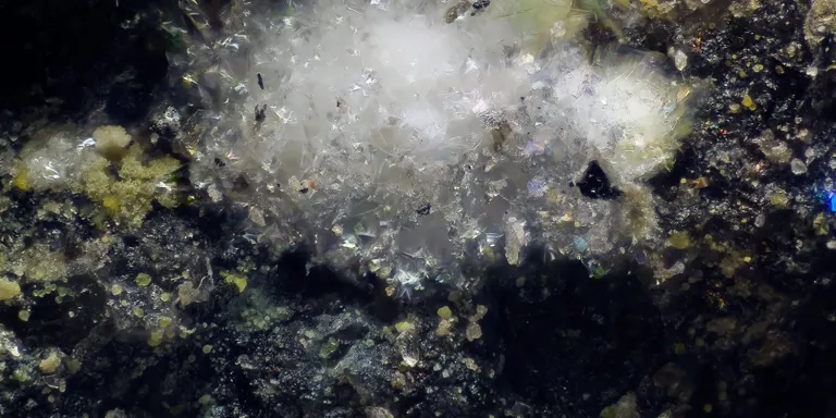 El Museu de la Ciència exhibirà un fragment d'abellaïta, la primera espècie mineral nova descoberta a Catalunya