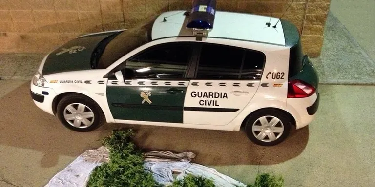 Detinguts dos joves de la Seu que transportaven tres plantes de marihuana