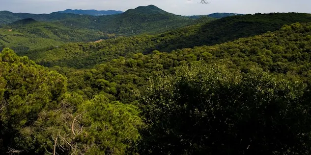 ‘Crònica’ de 16-06-2022