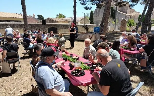 Foto: Ajuntament d'Altafulla
