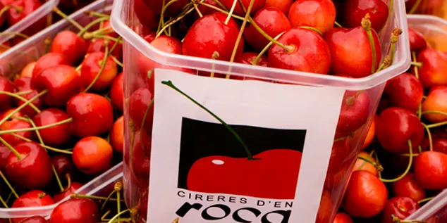 Baixa el nombre de productors de Cirera d'en Roca presents a la Fira