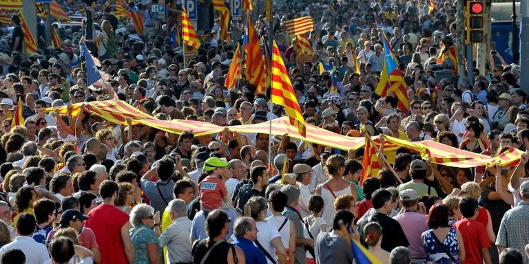 L'Alt Urgell fa sentir la seva veu a la manifestació de rebuig a la retallada de l'Estatut