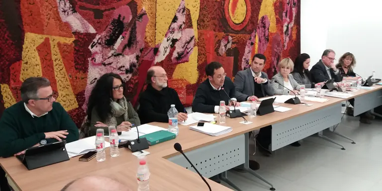 El Ple de Pineda aprova una moció de defensa del model d'escola catalana