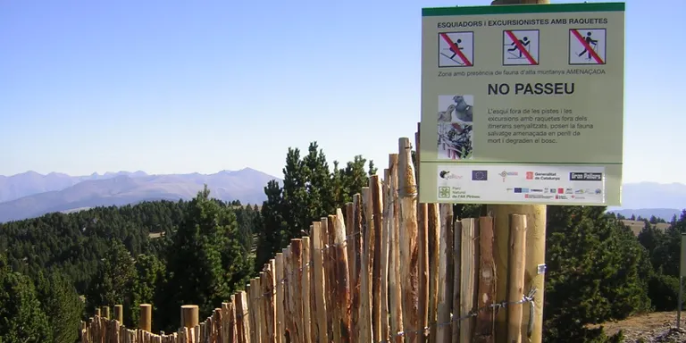 Nous plànols d'Espot i Port Ainé per realitzar esports d'hivern respectant la fauna amenaçada