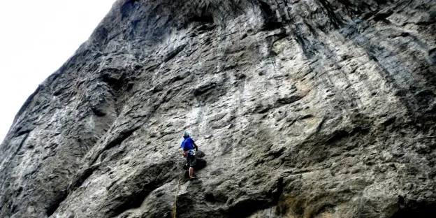 Tanquen set vies d'escalada als Tres Ponts per salvar una espècie de falguera amenaçada