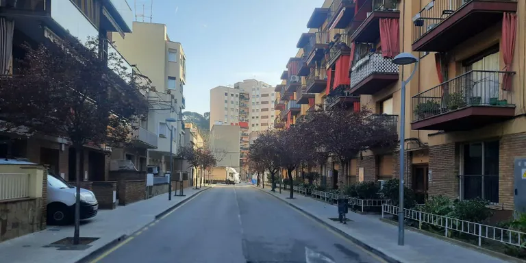 La poda dels arbres petits i moreres d'Arenys ha començat aquest dimarts