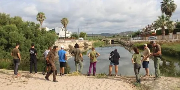 La manca d’oxigen a l’aigua provoca la mort de peixos a la riera de la Murtra de Creixell