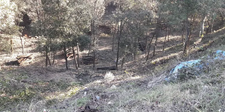 L'Ajuntament de Caldes intensifica el manteniment dels boscos de les urbanitzacions davant la previsió d'un estiu amb risc alt d'incendi