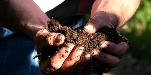 El departament d’Agricultura de la Generalitat ofereix a Altafulla la jornada tècnica ‘Millora de la fertilitat natural del sòl’