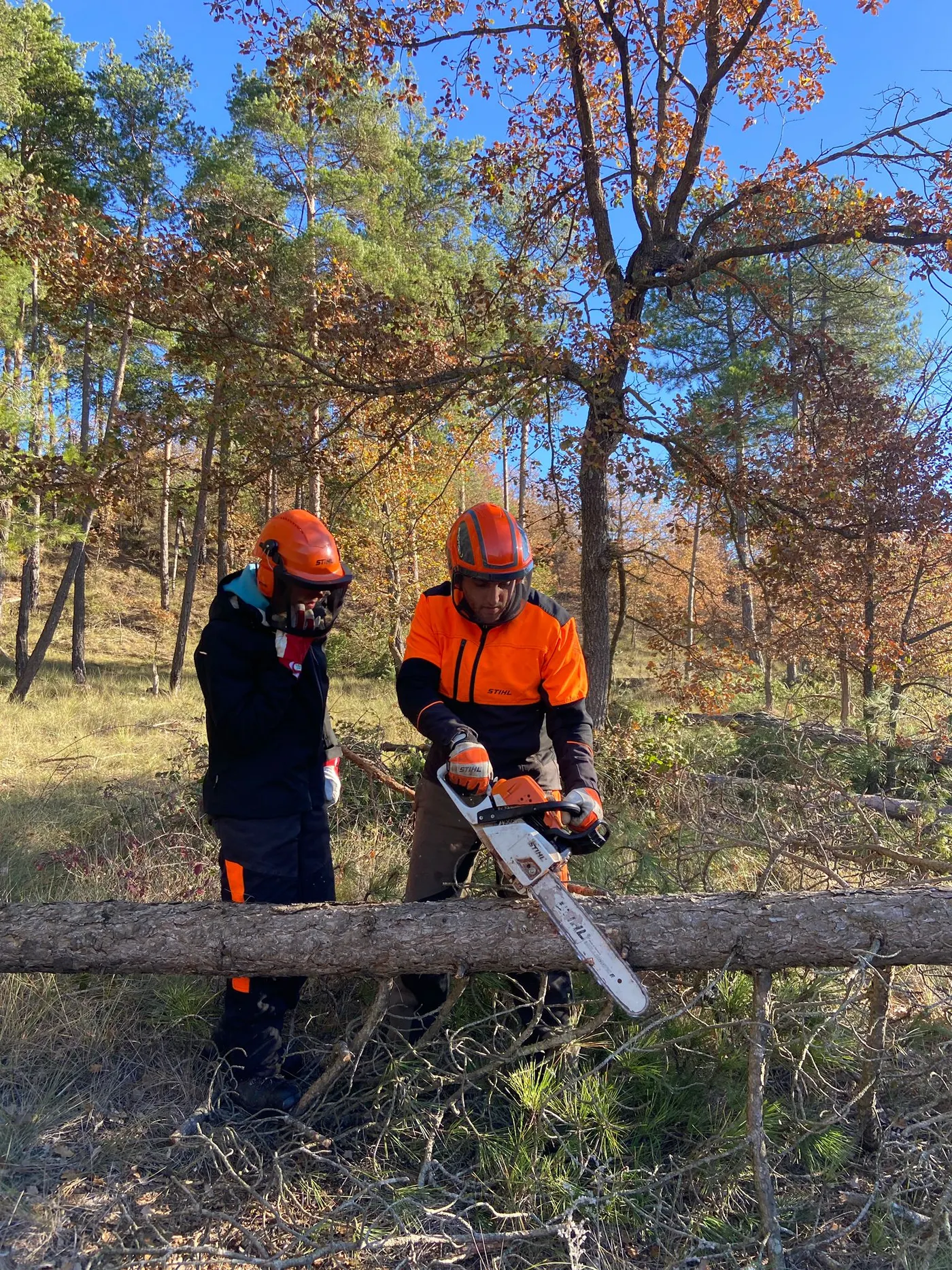 <strong>L'Escola Agrària del Solsonès posa en valor la seguretat i l'eficiència en els treballs forestals</strong>
