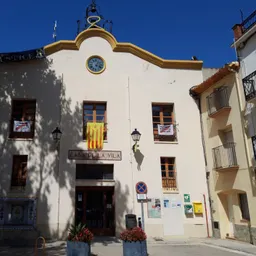 Ple municipal del dia 17-01-2024 - episode art