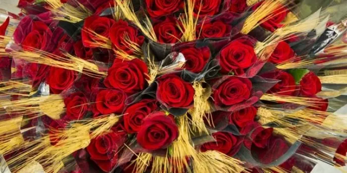 El Mercat de la Flor i Planta Ornamental de Catalunya preveu vendre uns 7 milions de roses aquest Sant Jordi