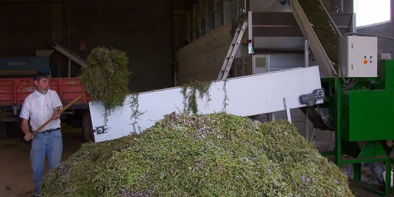 El CTFC elabora una base de dades de maquinària de plantes aromàtiques i medicinals