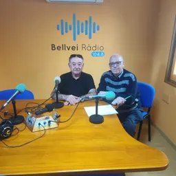 BELLVEI EN SINTONIA UN PROGRAMA D'ENTREVISTES DIVERSES - episode art