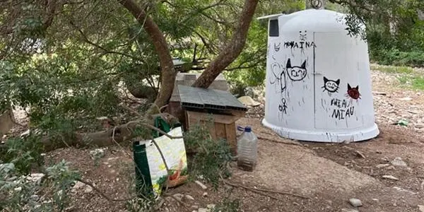 L’Ajuntament del Catllar instal·la refugis per a gats ferals en diferents punts del municipi
