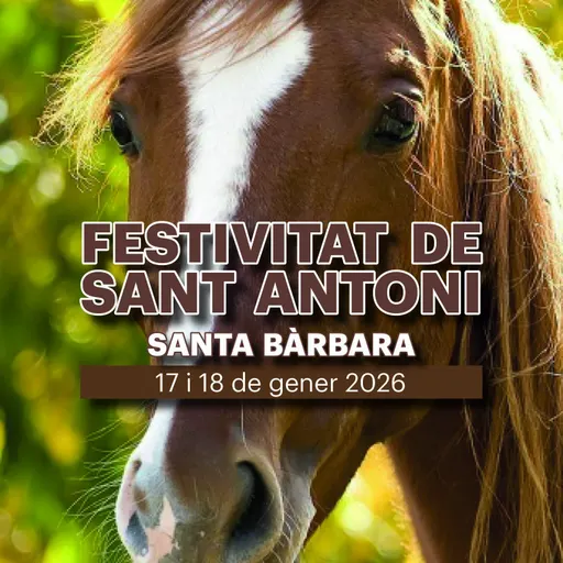 L'entrevista del 13/1/2026 Sant Antoni a Santa Bàrbara creix amb espectacle itinerant, jotes i un nou recorregut