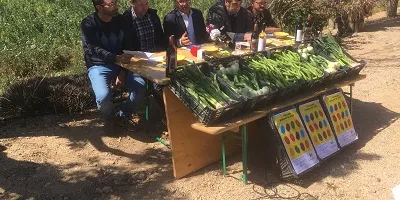 La Favatada servirà enguany més racions